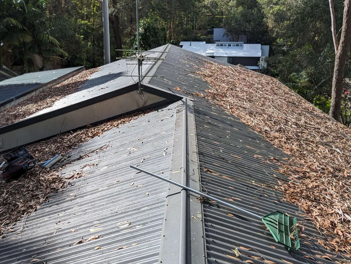 Leaves lying across a metal roof before cleaning