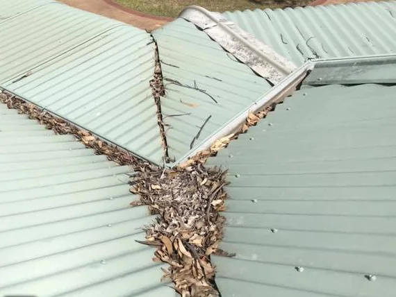 A metal roof valley packed with dry leaves and debris before cleaning