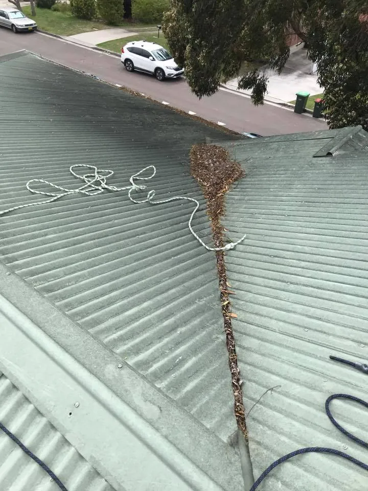 A roof valley clogged with leaves and twigs, a leaf rake on a pole beside it, before cleaning