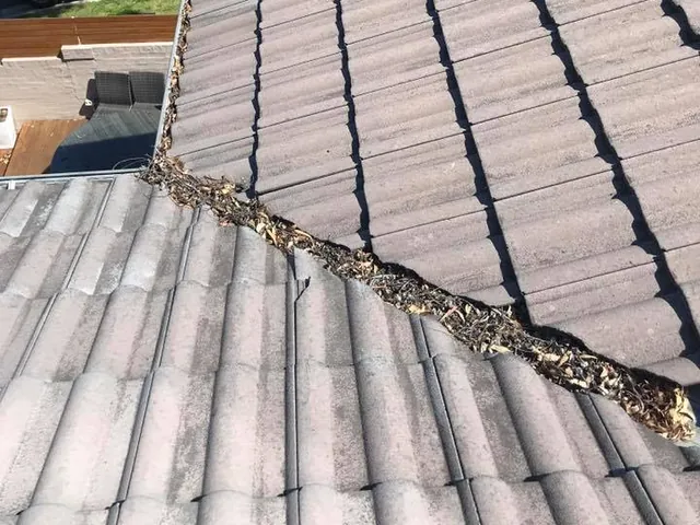 A tile roof valley packed with leaves before cleaning